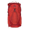 Zaino da escursionismo Gregory Miko 20 l sumac red da uomo 5