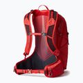 Zaino da trekking Gregory Miko 25 l sumac red uomo 7