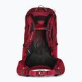 Zaino da trekking Gregory da donna Jade 33 l rosso rubino 2