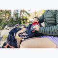 Zaino da trekking Gregory Nano 30 l bright navy 7