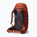 Zaino da trekking per bambini Gregory Wander 50 l Red Rock 2