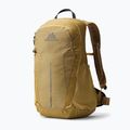 Zaino da trekking Gregory Arrio 20 RC amber haze