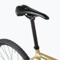 Ridley Kanzo C ADV GRX800 2x11sp Inspired 1 oro/nero metallizzato bici gravel 5