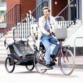 Rimorchio per bicicletta bobike Moobe grigio 16