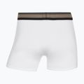 Boxer da uomo CR7 Fashion Trunk 5 pairs multicolour 10