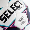 SELEZIONE Tempo IMS calcio 2019 0575046009 dimensioni 5 3