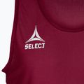 Marcatore da calcio junior per bambini SELECT Basic maroon 6841002997 3