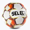 SELEZIONA Pionieer TB 111084 taglia 4 calcio 2