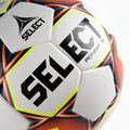 SELEZIONA Pionieer TB 111084 taglia 4 calcio 3