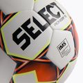 SELEZIONARE Pionieer TB FIFA Basic calcio 111084 dimensioni 5 3