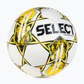 SELEZIONE calcio Numero 10 v23 110046 dimensioni 4 2