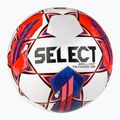 SELECT Brillant formazione DB v23 120069 dimensioni 4 calcio 2