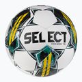 SELEZIONARE Pioneer TB v23 120072 dimensioni 4 calcio 2
