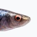 Savage Gear LB 4D Aringa Shad esca in gomma per scorfani 2