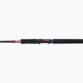 Canna da spinning Westin W6 Powercast 2sec 2
