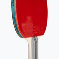 Racchetta da tennis da tavolo Double Fish CK107 3