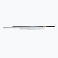 Asta Mikado Trython Feeder