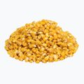 Carpa Obiettivo pesca mais 0009 Wild Rose 2