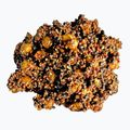Miscela di cereali Carp Target 0061 Canapa-Noci di tigre-Rabarbaro 33%. 2