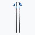 Bastoncini da trekking Viking Kettera Pro nero/blu