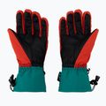 Guanti da sci da uomo Viking Brother Louis multicolore/marrone 2