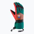 Guanti da sci da uomo Viking Brother Louis multicolore/marrone 5