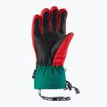 Guanti da sci da uomo Viking Brother Louis multicolore/marrone 6