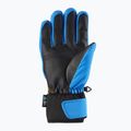 Guanti da sci da donna Viking Cool Daddy multicolore/giallo 7