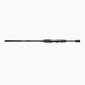 Canna da spinning DRAGON Fishing Express Spinn 25