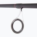 Canna da spinning DRAGON Fishing Express Spinn 25 2