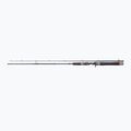 Canna da spinning DRAGON Fishing G.P.Concept Jerk 80H