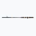 Canna da spinning DRAGON Fishing G.P.Concept Jerk 80H 2