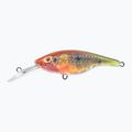 FishTank Charlie pappagallo wobbler