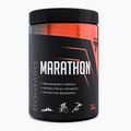 Trec Endu Marathon Pre-allenamento Menta Lampone 400 g