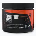 Trec Endu Creatine Sport Fruit Punch 300 g