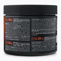 Trec Endu Creatine Sport Fruit Punch 300 g 2