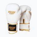 Guantoni da boxe StormCloud Boxing Pro white/gold