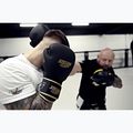 Guantoni da boxe StormCloud Boxing Pro black/gold 12