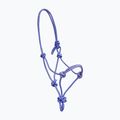Cavezza York Siena in corda blu per cavallo