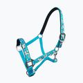 Cavezza per cavallo York Timmy turchese