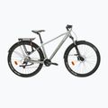 Bicicletta da montagna KROSS Hexagon 4.0 EQ 29" silver/green/gloss