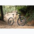 Bicicletta da montagna da donna KROSS Level 6.0 beige/brown/gloss 13