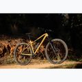 Bicicletta da montagna KROSS Level 6.0 brown/graphite 13