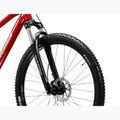 Bicicletta da montagna KROSS Hexagon 4.0 29" red/silver/gloss 5