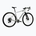 Bicicletta gravel KROSS Esker 1.0 grey/graphite/matte 3