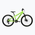 Bicicletta per bambini KROSS Dust Jr 1.0 Dsc green/green/gloss