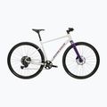Bicicletta gravel KROSS Esker 1.0 FL grey/purple/gloss