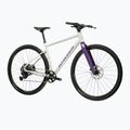 Bicicletta gravel KROSS Esker 1.0 FL grey/purple/gloss 2