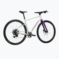 Bicicletta gravel KROSS Esker 1.0 FL grey/purple/gloss 3