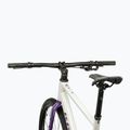 Bicicletta gravel KROSS Esker 1.0 FL grey/purple/gloss 4